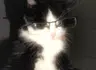 Profile picture of @Blu3b3rry.xx
