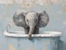 Profilbillede af Elevated Elephant