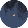 Imagen de perfil de Pikt